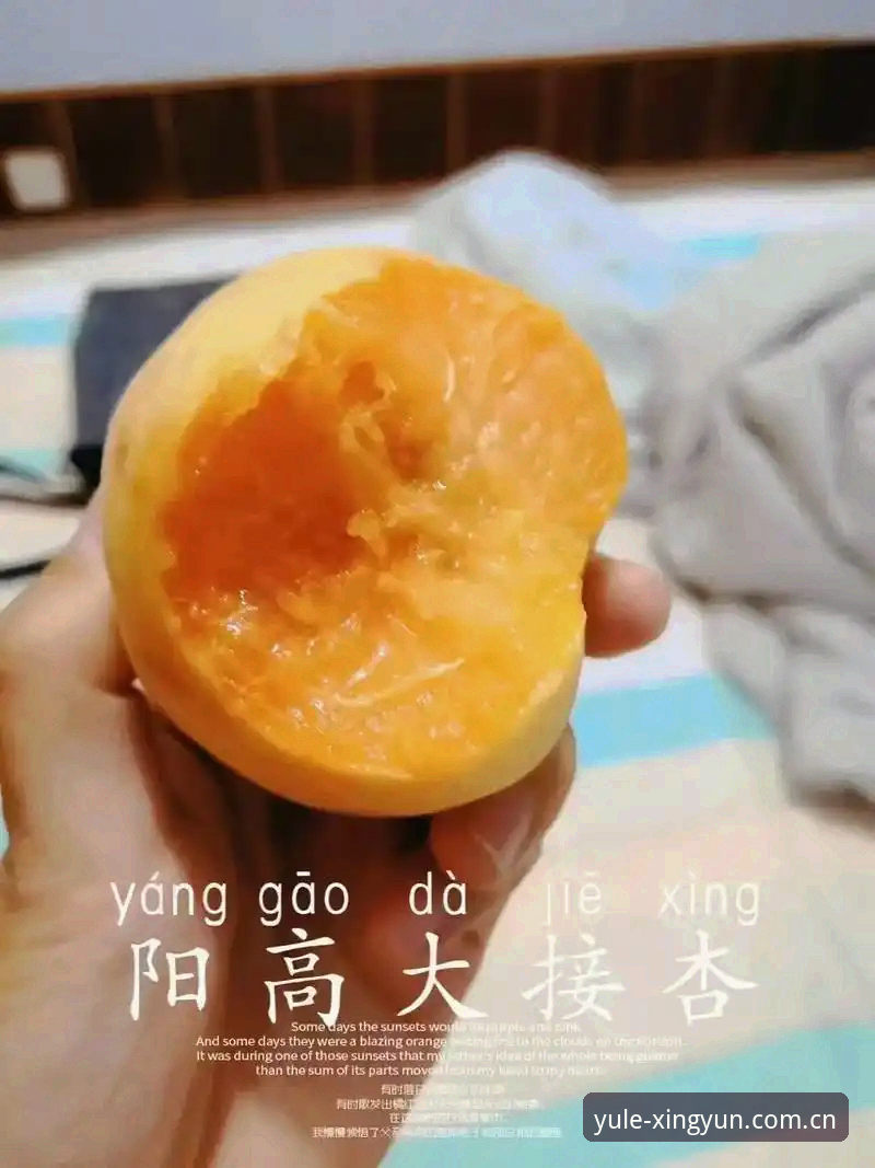 杏运体育娱乐中国站更新日志功能详解：一次从“能用”到“好用”的深度评测